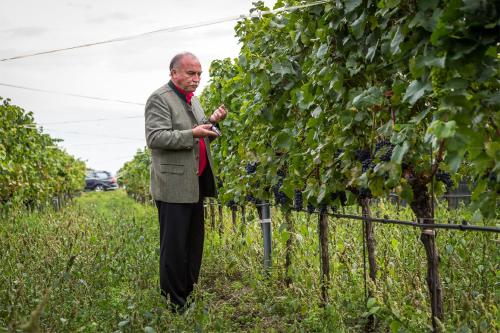 Wein & Landhaus Willi Opitz