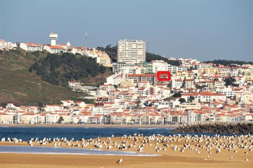  NAZARÉ SURF APARTMENT in Nazaré