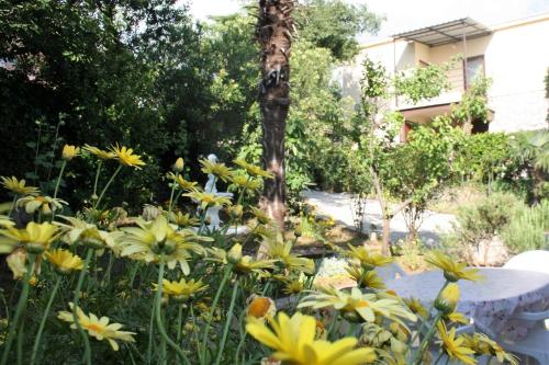 Apartment Verica - image 2