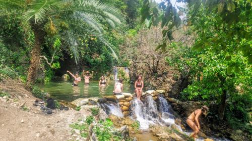 TRIBE AQUA a nature retreat above Neer waterfall Tapovan