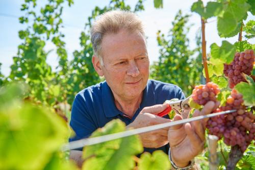 Weingasthaus Wisser - image 9