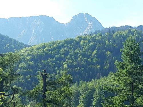 Kwatery Prywatne-Romanówka, Zakopane (fotografie 10)