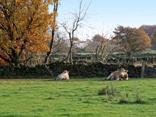 Stoneycroft Barn - image 11