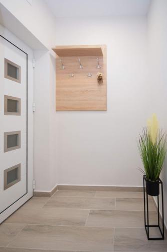 Two-Bedroom Apartment room in Cvetni trg