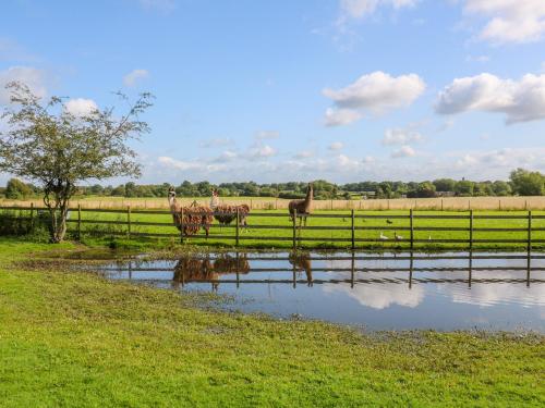 Chequer Stable