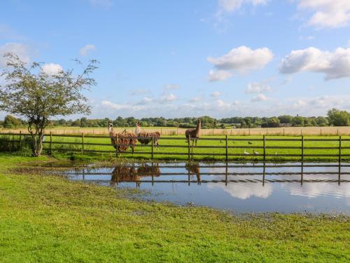 Chequer Stable - image 10