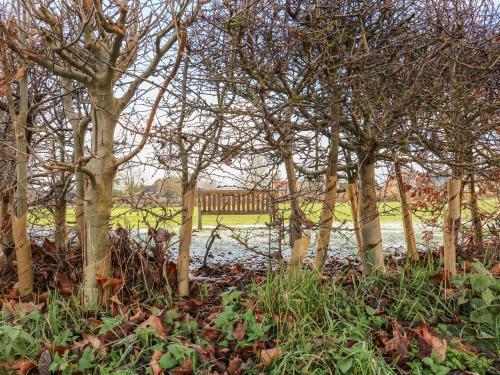 28 Oxborough - image 2