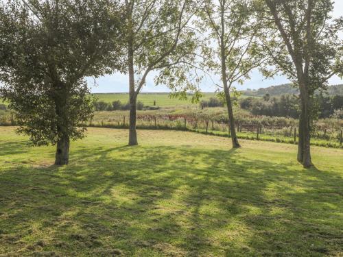 Freeborough - image 6