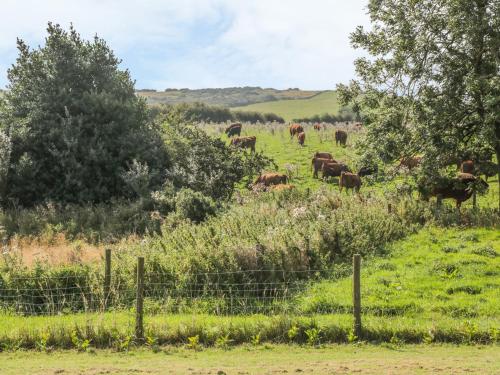 Freeborough - image 12