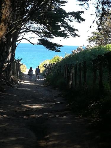 Chambres d'hôtes Le Petit Angle - image 12