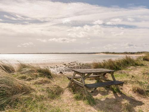 Rock Rose - image 4