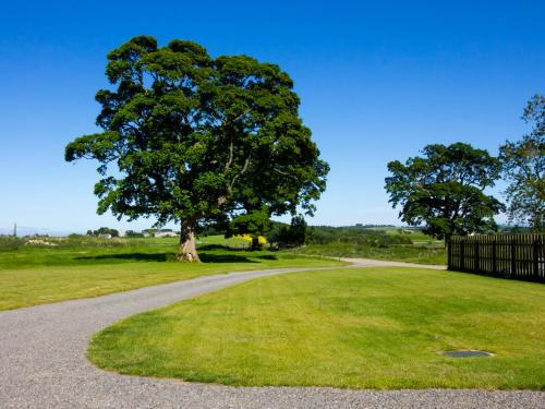 Nef-Stedi in อินเวอรูรี