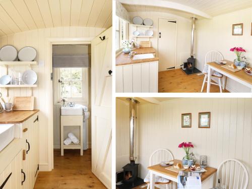 Bramble in Wadebridge