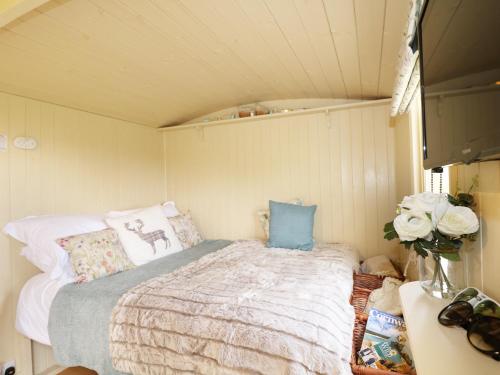 Willow Wadebridge - main image