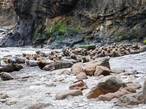 Swallow Cottage Scarborough - image 11