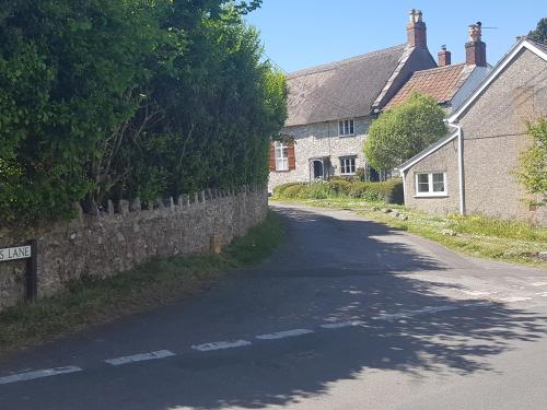 Rose Cottage Chard - image 4