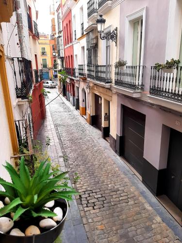 BOHEMIAN & SUITES CATEDRAL -parking, Sevilla (Foto 7)