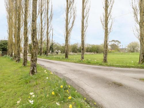 Corner Cottage Shaftesbury - image 8