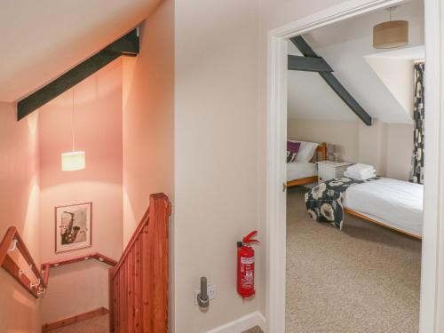 Kingfisher Kingfisher