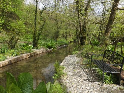 Kingfisher Kingfisher