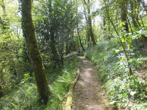 Kingfisher Kingfisher