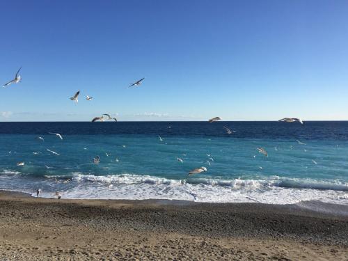 PALAIS ELISABETH PROMENADE DES ANGLAIS, Nice (fotografie 8)