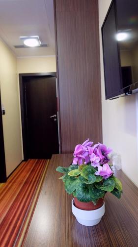 Motel Richi - image 5