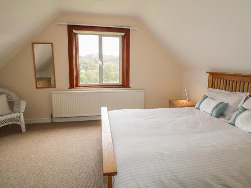The Hide Newtownards - image 7