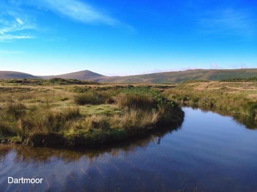 Bowbeer Barn Drewsteignton - image 6