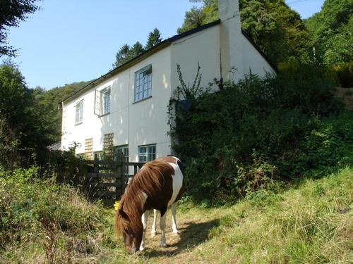 Barn Cottage Hawkridge Dulverton - image 6
