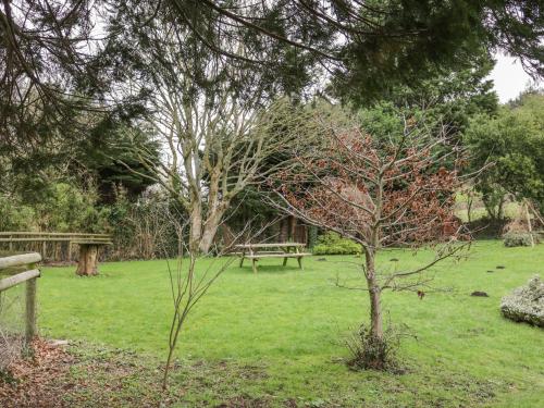 Alice Cottage Minehead - image 10