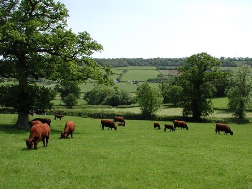 Whitcombe Cottage in Wick