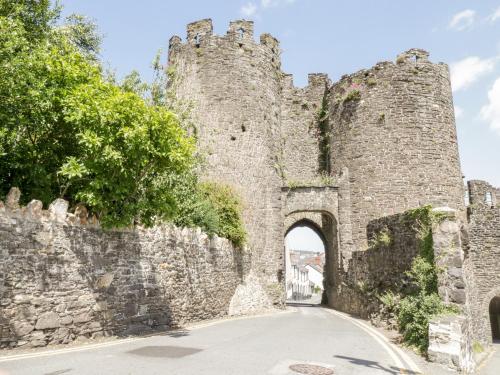 Fishermans Cottage Conwy - image 12