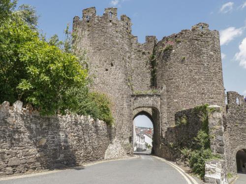 Castle Apartment Conwy - image 9