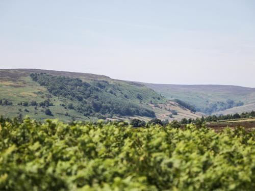 The Old Hayloft in Edstone