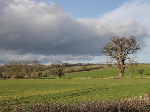 Little Byre Cottage Sutton - image 14