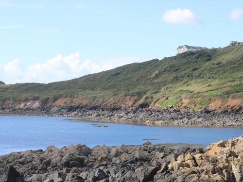 Gannet Watch Coverack - image 13