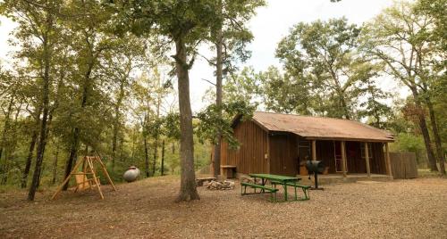 Bear Hollow cabin - image 6