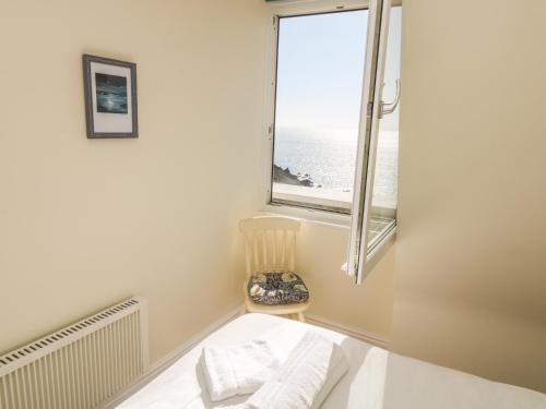 Gannet Watch Coverack - image 12
