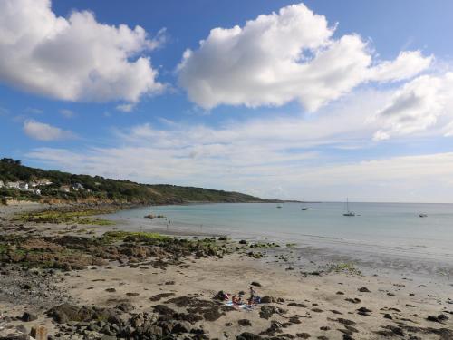 Gannet Watch Coverack - image 14