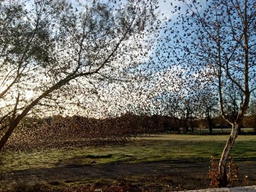  Arethoussa Polyhoros Pantazopoulou in Karitena