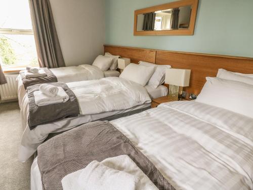 Ellie's Lodge Ulverston - image 8