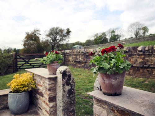 High Thearns, Barnard Castle