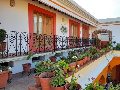 Los Arrayanes – Oaxaca, NE