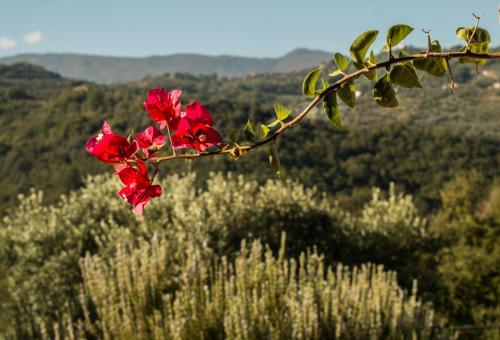 Casale I Cirillo