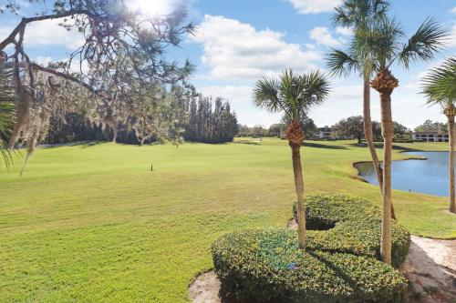 Saddlebrook Golf Course view Condo with Kitchen