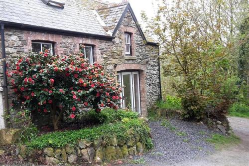 Cwmbrandy Cottage, , West Wales