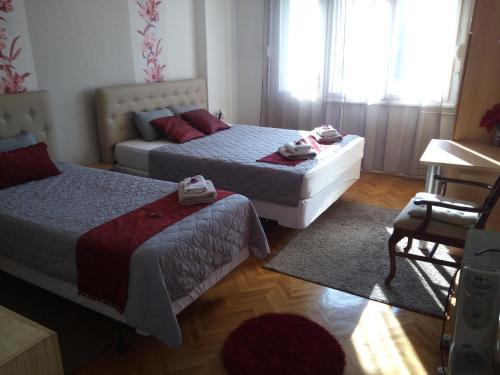 The Most Central Skopje Apartment, Skopje (photo 4)