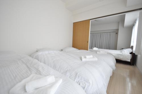 Downtown area Spacious cozy room Susukino IK301