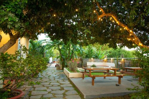 Garden, Thanh Thanh Mini Hotel in Lien Huong
